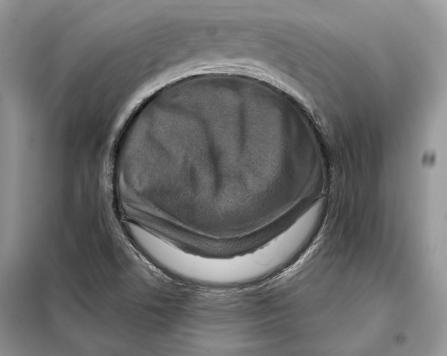 X0000098071506200805020945