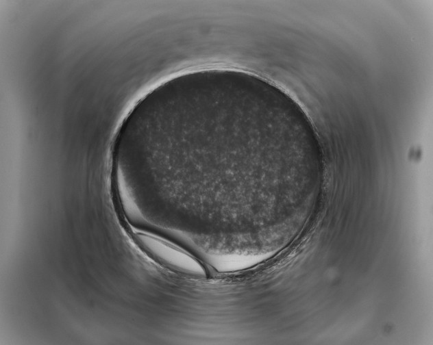 X0000098071508200805020945