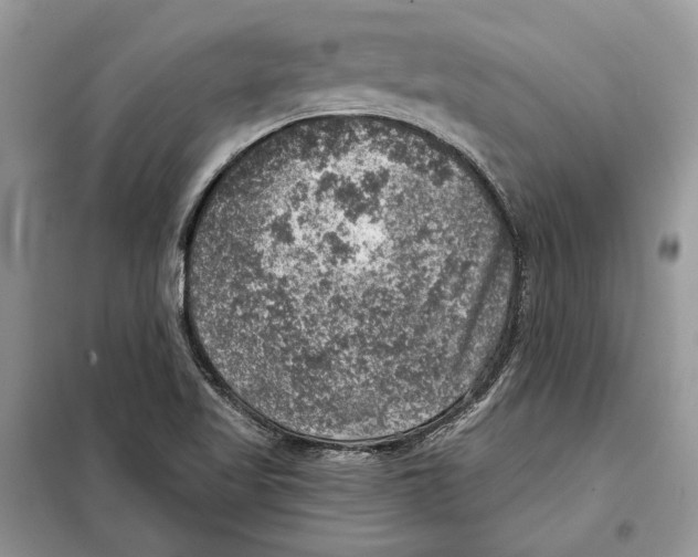 X0000098071509200805020945