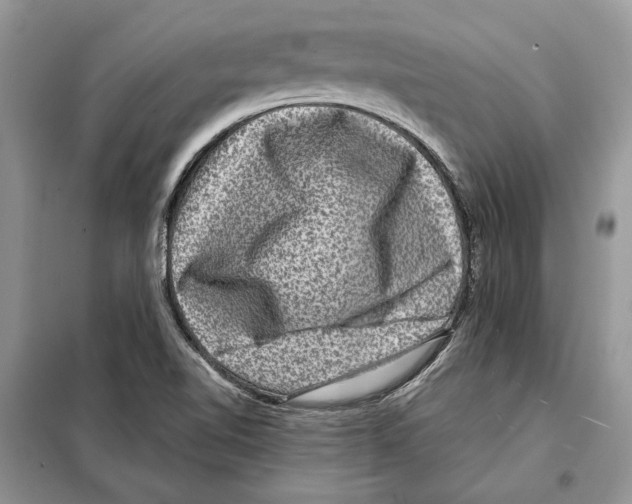 X0000098071510200805020945