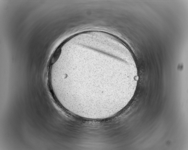 X0000098071511200805020945