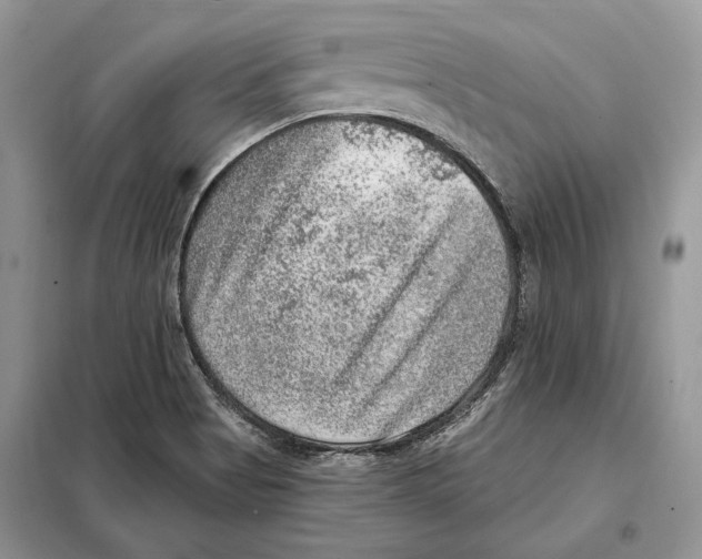 X0000098071513200805020945