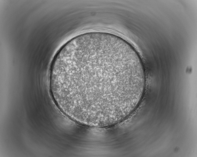 X0000098071514200805020945