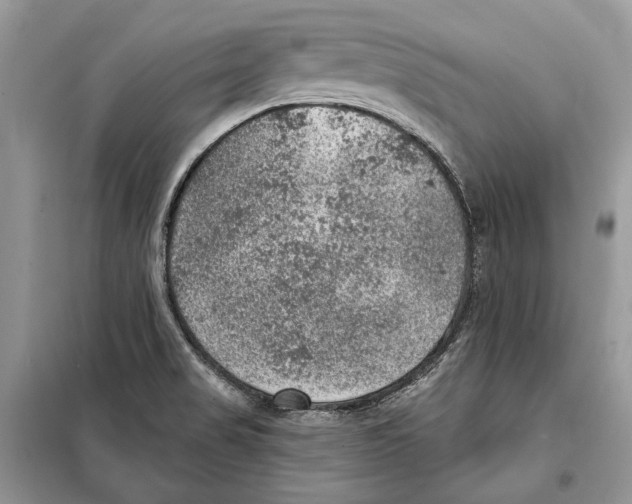 X0000098071517200805020946