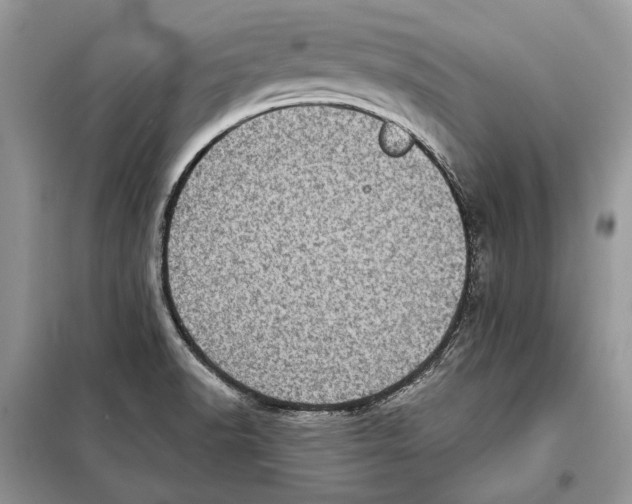 X0000098071518200805020946