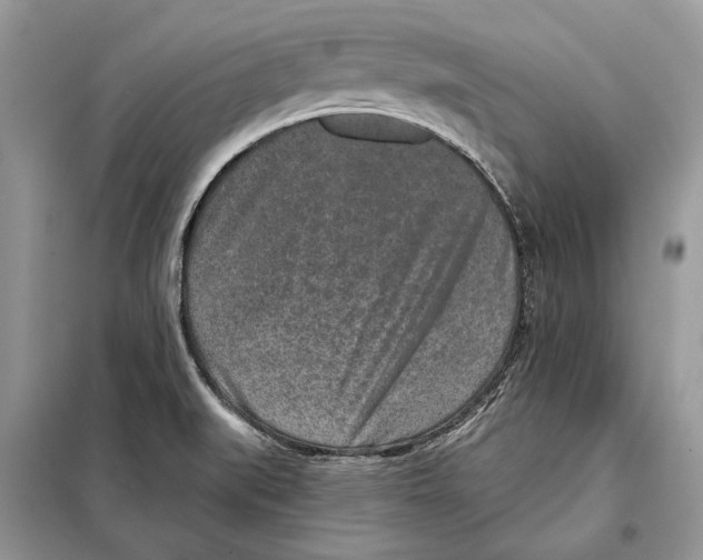 X0000098071519200805020946