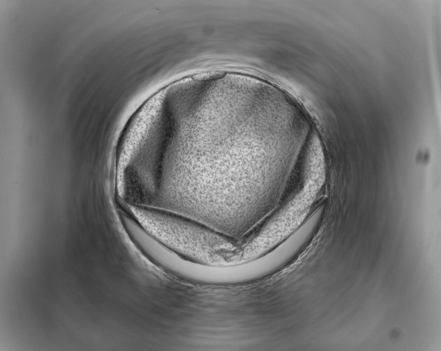 X0000098071520200805020946