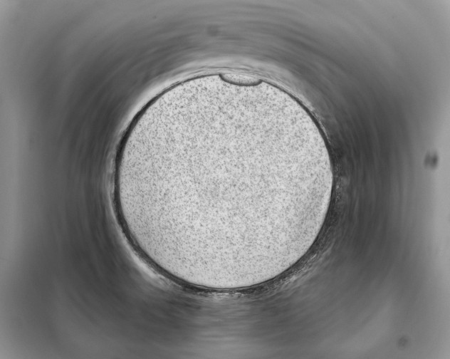 X0000098071523200805020946