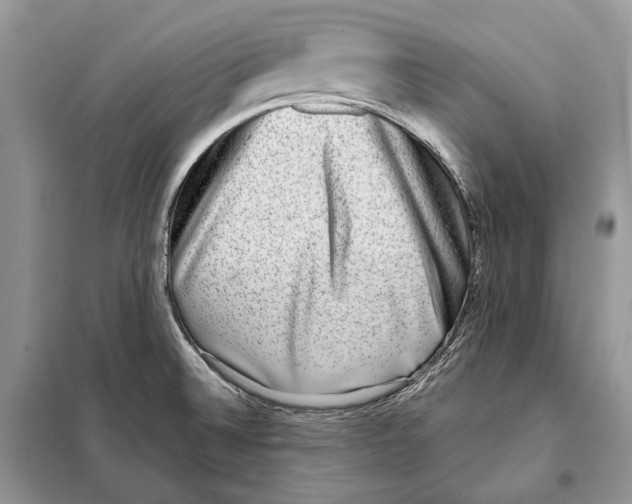 X0000098071524200805020946