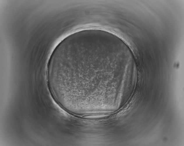 X0000098071527200805020946