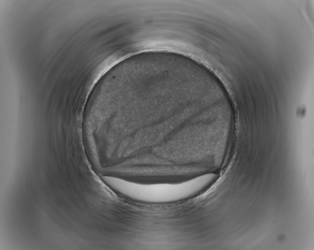 X0000098071529200805020946