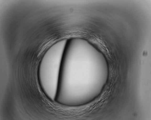 X0000098080001200804040802