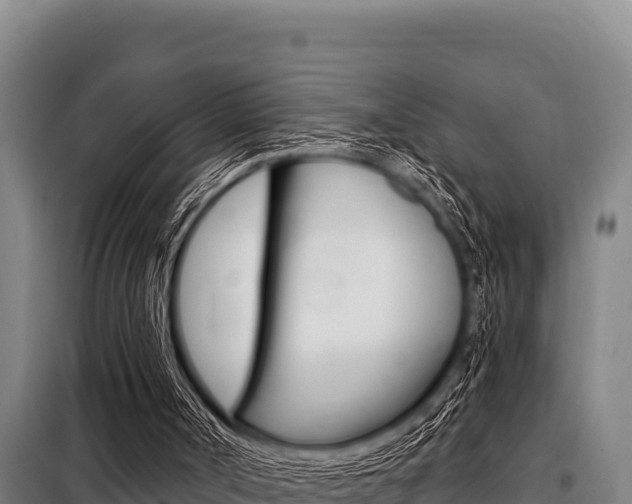 X0000098080002200804040802