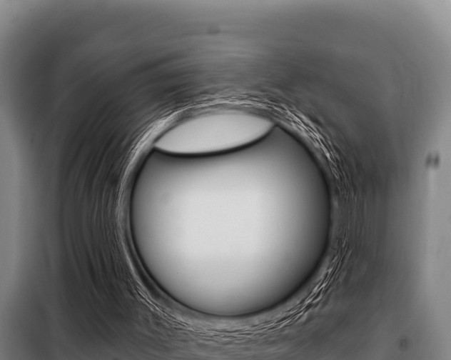 X0000098080003200804040802