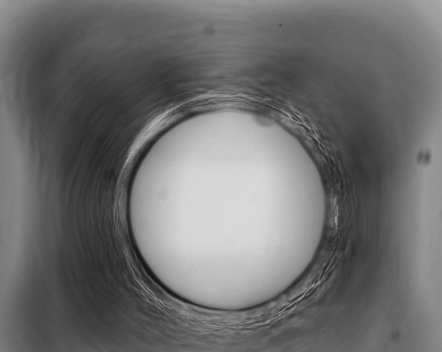 X0000098080004200804040802
