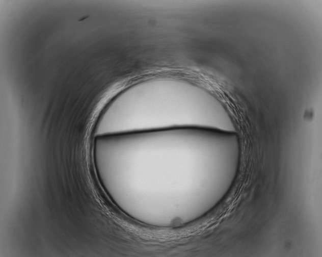 X0000098080006200804040802
