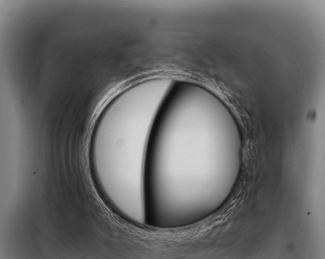 X0000098080007200804040802