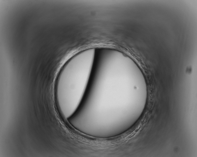 X0000098080008200804040802