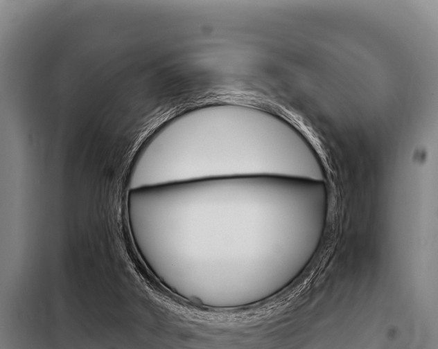 X0000098080010200804040802