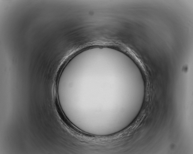 X0000098080011200804040802