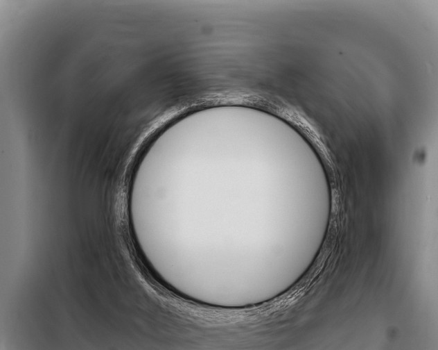 X0000098080012200804040802