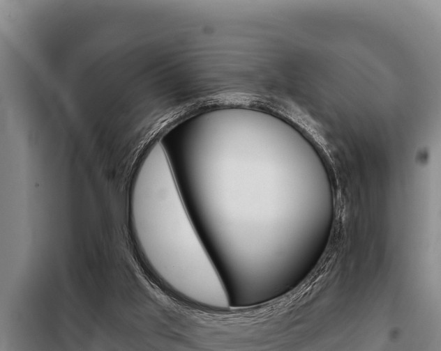 X0000098080013200804040802
