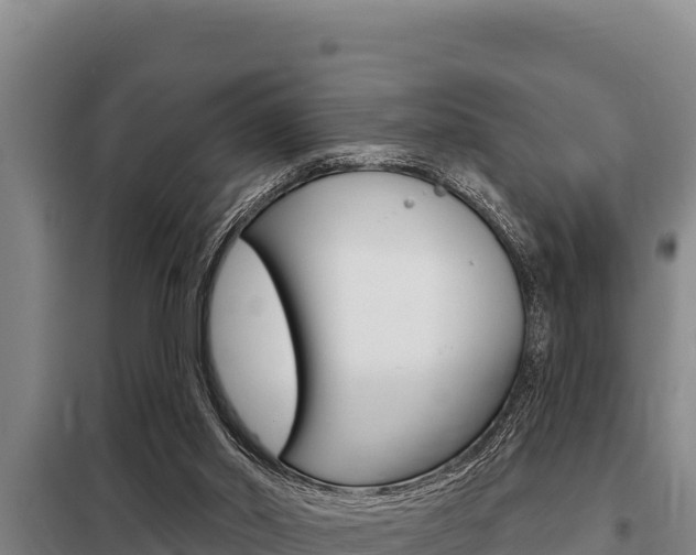 X0000098080014200804040802