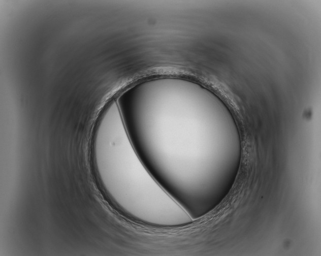 X0000098080015200804040802