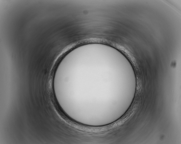 X0000098080016200804040802