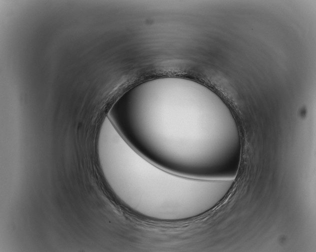 X0000098080021200804040802