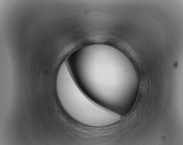 X0000098080023200804040802