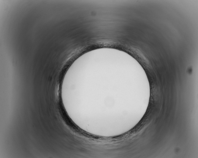 X0000098080024200804040802