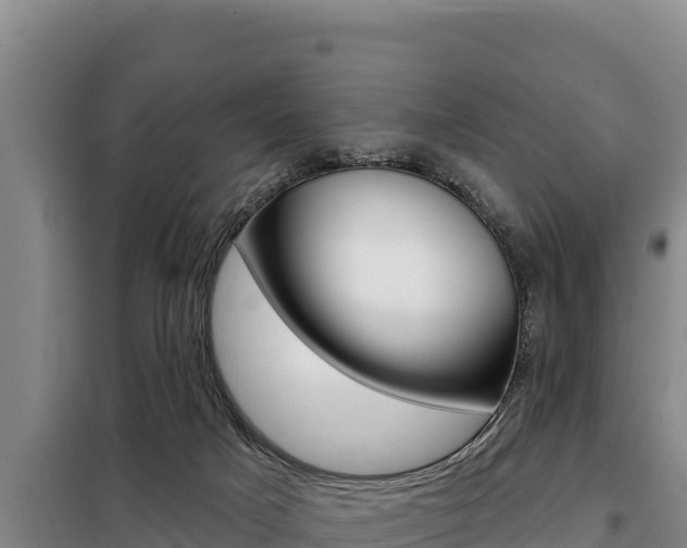 X0000098080025200804040802