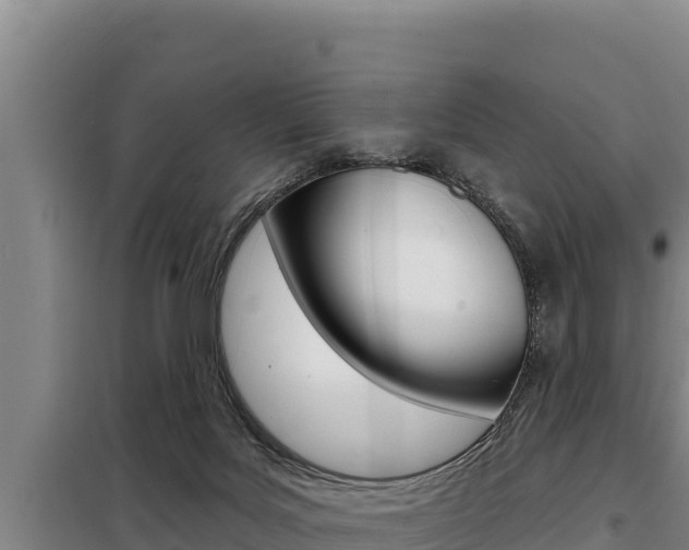 X0000098080027200804040802