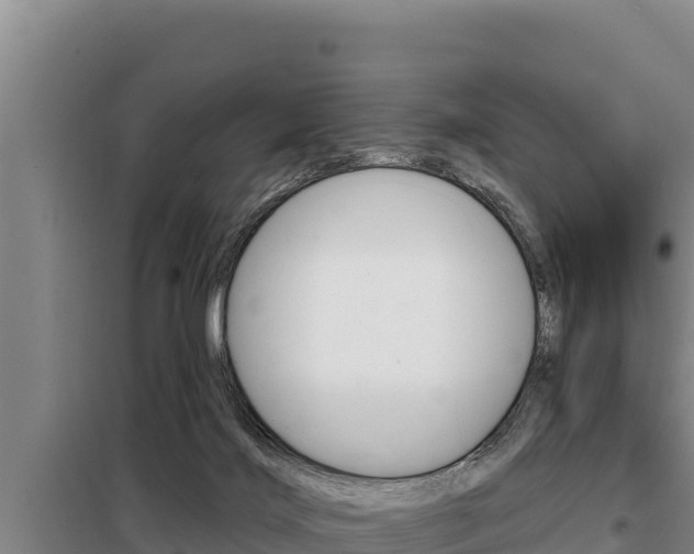 X0000098080028200804040802