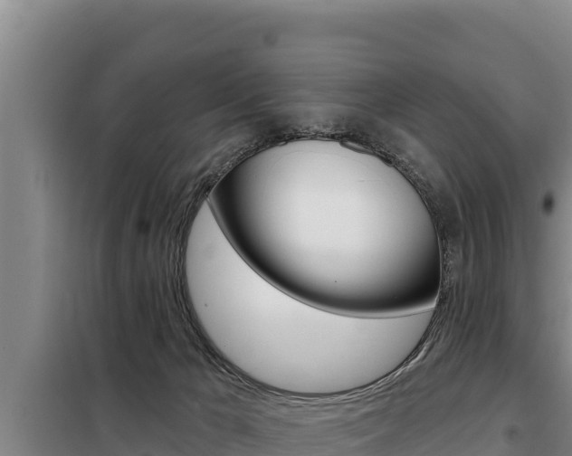X0000098080029200804040802