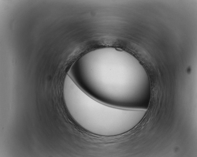 X0000098080031200804040802
