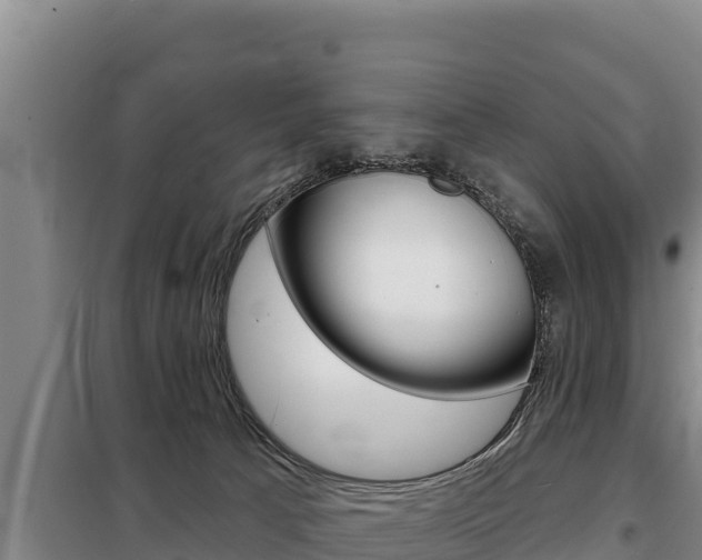 X0000098080033200804040802