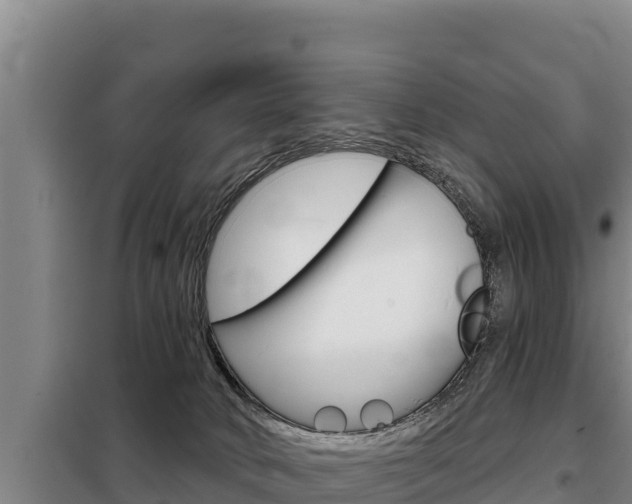 X0000098080034200804040802