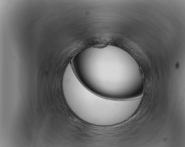 X0000098080037200804040802