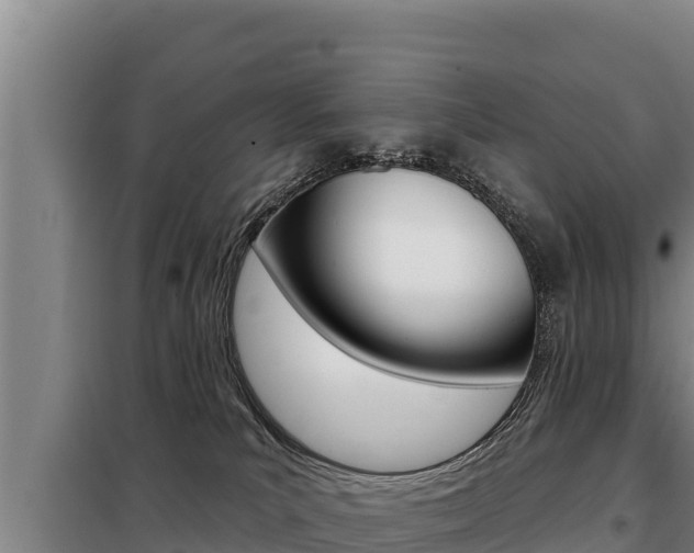 X0000098080039200804040802