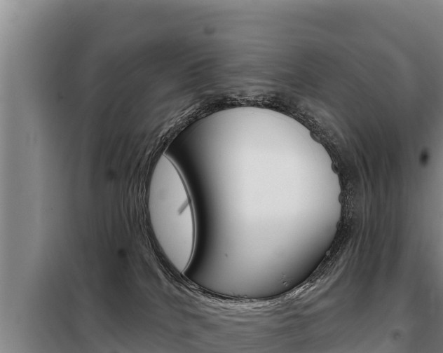 X0000098080040200804040802