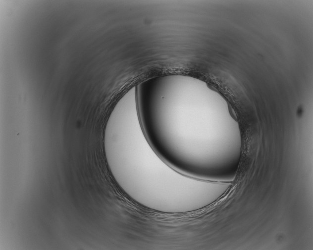 X0000098080041200804040802