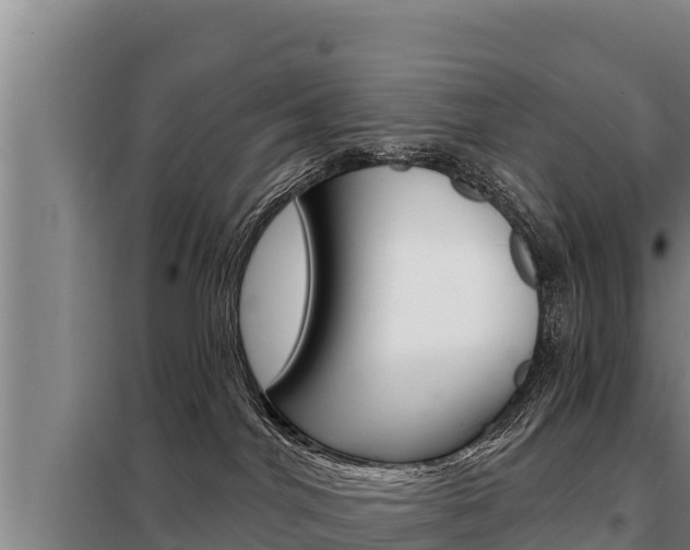 X0000098080044200804040802