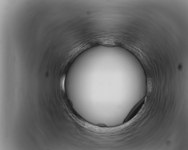X0000098080047200804040802
