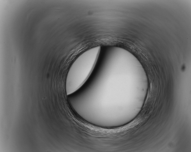 X0000098080048200804040802