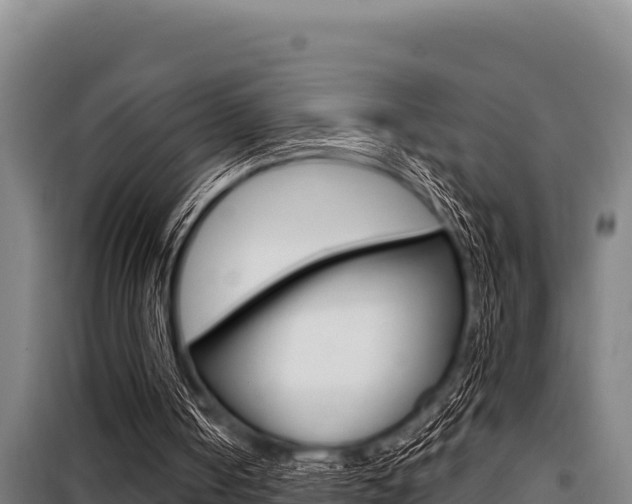 X0000098080050200804040801