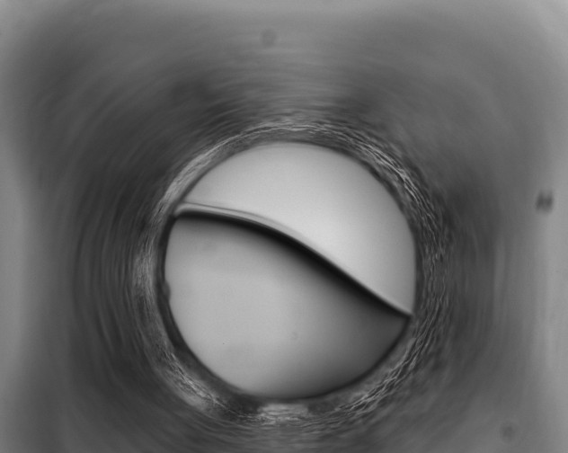 X0000098080051200804040801