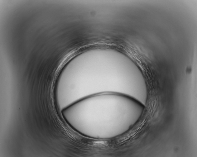 X0000098080053200804040801