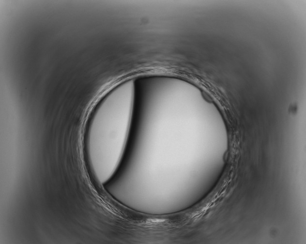 X0000098080055200804040801